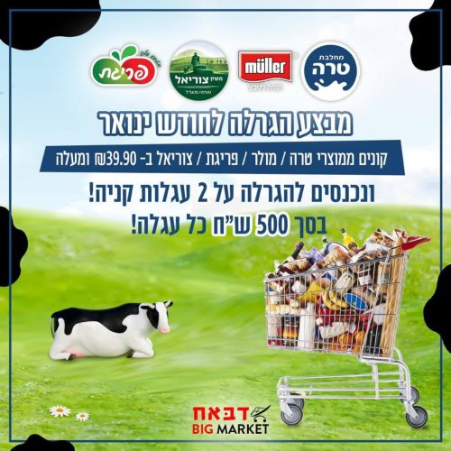 WhatsApp Image 2025-11-11 at 15.51.17 (1)