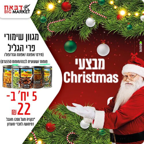 WhatsApp Image 2025-11-11 at 15.51.17 (2)