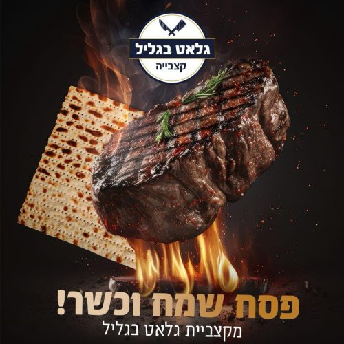 WhatsApp Image 2025-11-11 at 15.51.22